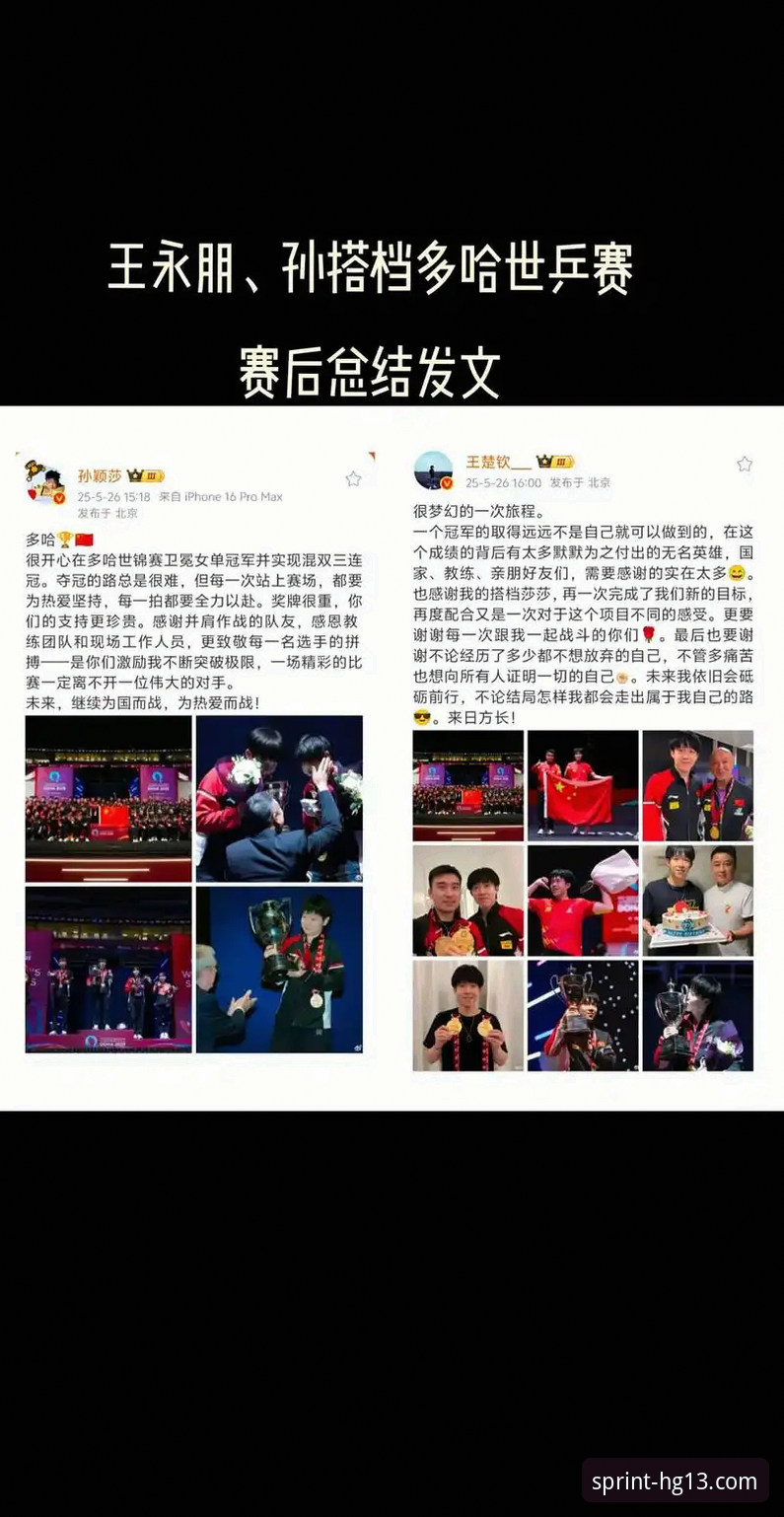 资深乒乓球迷分享：在hg13体育平台见证国乒男团世锦赛小组赛全胜心得